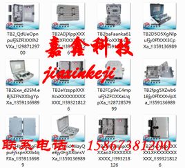 24芯光纖分纖箱 連接全球通訊網(wǎng)絡(luò)的關(guān)鍵設(shè)備